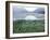 Small Peaks in Chokosna River Valley, Alaska-Ethan Welty-Framed Photographic Print