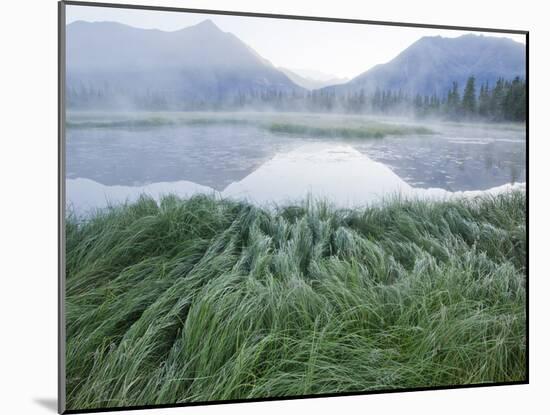 Small Peaks in Chokosna River Valley, Alaska-Ethan Welty-Mounted Photographic Print