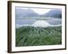 Small Peaks in Chokosna River Valley, Alaska-Ethan Welty-Framed Photographic Print