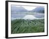 Small Peaks in Chokosna River Valley, Alaska-Ethan Welty-Framed Photographic Print