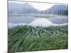 Small Peaks in Chokosna River Valley, Alaska-Ethan Welty-Mounted Photographic Print