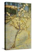 Small Pear Tree in Blossom, 1888-Vincent van Gogh-Stretched Canvas