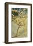 Small Pear Tree in Blossom, 1888-Vincent van Gogh-Framed Art Print