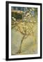 Small Pear Tree in Blossom, 1888-Vincent van Gogh-Framed Art Print