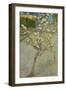 Small pear tree in blossom, 1888-Vincent van Gogh-Framed Giclee Print