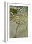 Small pear tree in blossom, 1888-Vincent van Gogh-Framed Giclee Print