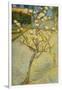 Small Pear Tree in Blossom, 1888-Vincent van Gogh-Framed Giclee Print