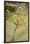 Small Pear Tree in Blossom, 1888-Vincent van Gogh-Framed Giclee Print