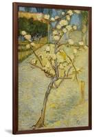 Small Pear Tree in Blossom, 1888-Vincent van Gogh-Framed Giclee Print