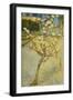 Small Pear Tree in Blossom, 1888-Vincent van Gogh-Framed Giclee Print