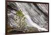 Small pine tree and Gibbon Falls, Yellowstone National Park, Wyoming-Adam Jones-Framed Photographic Print