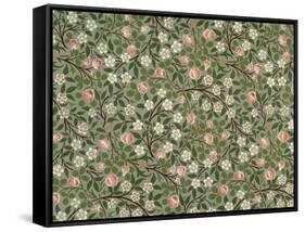 Small Pink and White Flower Wallpaper Design-William Morris-Framed Stretched Canvas