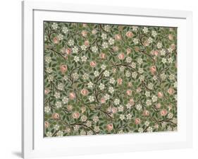 Small Pink and White Flower Wallpaper Design-William Morris-Framed Giclee Print