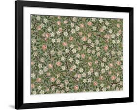 Small Pink and White Flower Wallpaper Design-William Morris-Framed Giclee Print