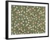 Small Pink and White Flower Wallpaper Design-William Morris-Framed Giclee Print