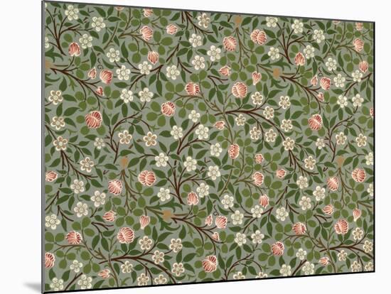 Small Pink and White Flower Wallpaper Design-William Morris-Mounted Giclee Print