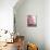 Small Pink Gift Box on Edge of Table-Ryan Mcvay-Mounted Photographic Print displayed on a wall