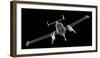 Small Piper Airplane-Podsolnukh-Framed Photographic Print