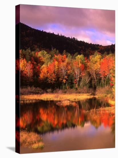 Small Pond and Fall Foliage Reflection, Katahdin Region, Maine, USA-Howie Garber-Stretched Canvas