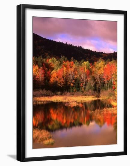 Small Pond and Fall Foliage Reflection, Katahdin Region, Maine, USA-Howie Garber-Framed Premium Photographic Print