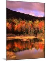 Small Pond and Fall Foliage Reflection, Katahdin Region, Maine, USA-Howie Garber-Mounted Premium Photographic Print