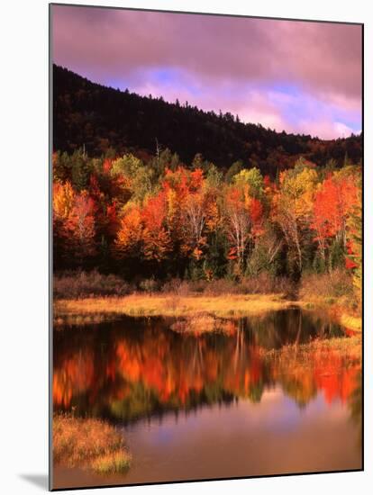 Small Pond and Fall Foliage Reflection, Katahdin Region, Maine, USA-Howie Garber-Mounted Premium Photographic Print