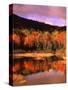 Small Pond and Fall Foliage Reflection, Katahdin Region, Maine, USA-Howie Garber-Stretched Canvas