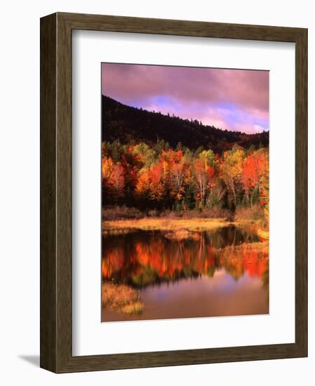 Small Pond and Fall Foliage Reflection, Katahdin Region, Maine, USA-Howie Garber-Framed Photographic Print