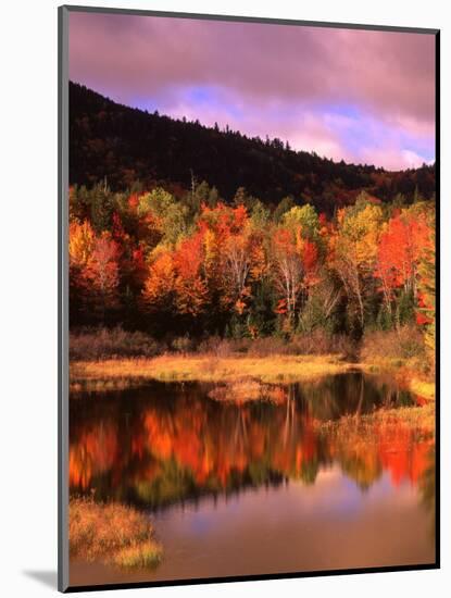 Small Pond and Fall Foliage Reflection, Katahdin Region, Maine, USA-Howie Garber-Mounted Photographic Print