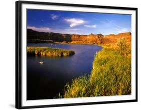 Small Pond Below the Dry Falls in the Scablands, Coulee City, Washington, USA-Chuck Haney-Framed Photographic Print