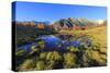 Small pond of Alpe Granda, Valtellina, Lombardy, Italy, Europe-Francesco Bergamaschi-Stretched Canvas