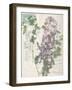 Small Postcard Wildflowers I-Jennifer Goldberger-Framed Photographic Print