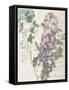 Small Postcard Wildflowers I-Jennifer Goldberger-Framed Stretched Canvas