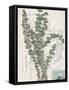 Small Postcard Wildflowers IV-Jennifer Goldberger-Framed Stretched Canvas