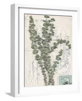 Small Postcard Wildflowers IV-Jennifer Goldberger-Framed Photographic Print
