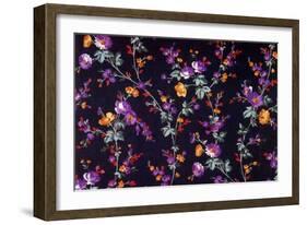 Small Puple Flowers Grow Off of Long Green Stems-null-Framed Giclee Print