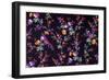 Small Puple Flowers Grow Off of Long Green Stems-null-Framed Giclee Print