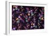 Small Puple Flowers Grow Off of Long Green Stems-null-Framed Giclee Print