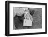 Small Puppy on Floor-null-Framed Photographic Print