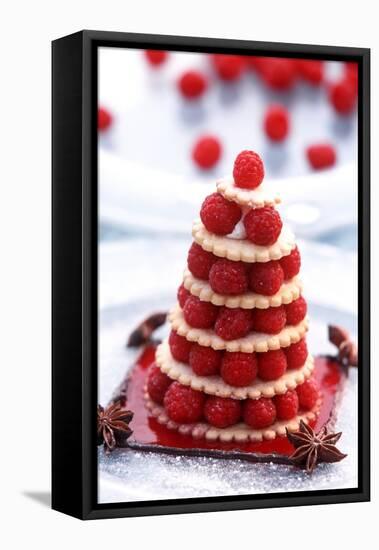 Small Raspberry Cake with Star Anise-Joerg Lehmann-Framed Stretched Canvas