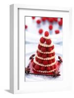 Small Raspberry Cake with Star Anise-Joerg Lehmann-Framed Photographic Print