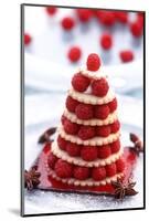 Small Raspberry Cake with Star Anise-Joerg Lehmann-Mounted Photographic Print