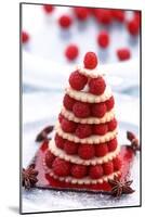 Small Raspberry Cake with Star Anise-Joerg Lehmann-Mounted Photographic Print