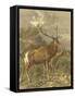 Small Red Deer-Friedrich Specht-Framed Stretched Canvas