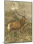 Small Red Deer-Friedrich Specht-Mounted Art Print