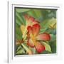Small Red Flower-Graeme Stevenson-Framed Giclee Print