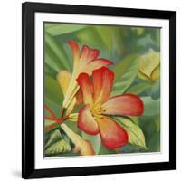 Small Red Flower-Graeme Stevenson-Framed Giclee Print