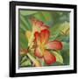 Small Red Flower-Graeme Stevenson-Framed Giclee Print