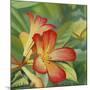 Small Red Flower-Graeme Stevenson-Mounted Giclee Print