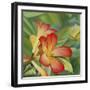 Small Red Flower-Graeme Stevenson-Framed Giclee Print